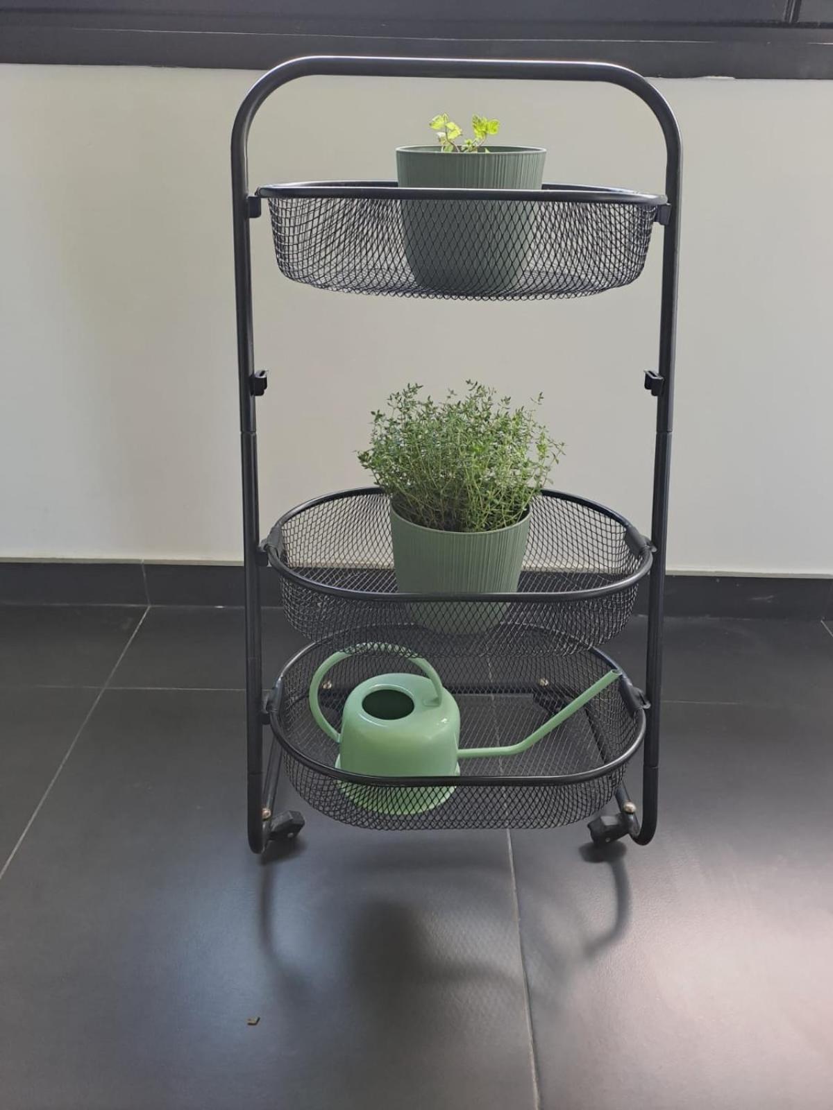 Ponta Delgada Neat Apartment מראה חיצוני תמונה